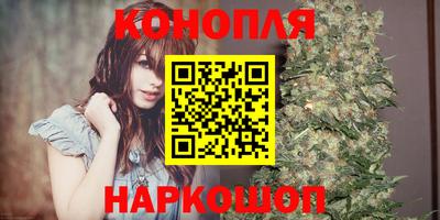 гашик Жуковский