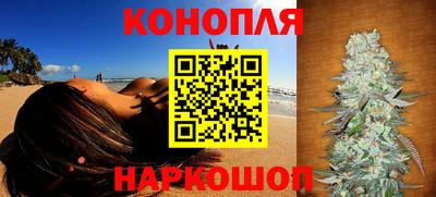 гашик Жуковский