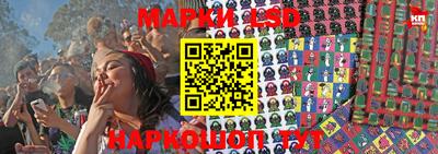 мдпв Заводоуковск
