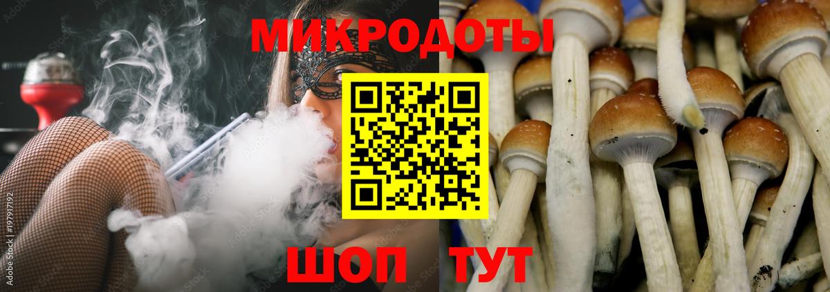 Псилоцибиновые грибы Cubensis Магнитогорск