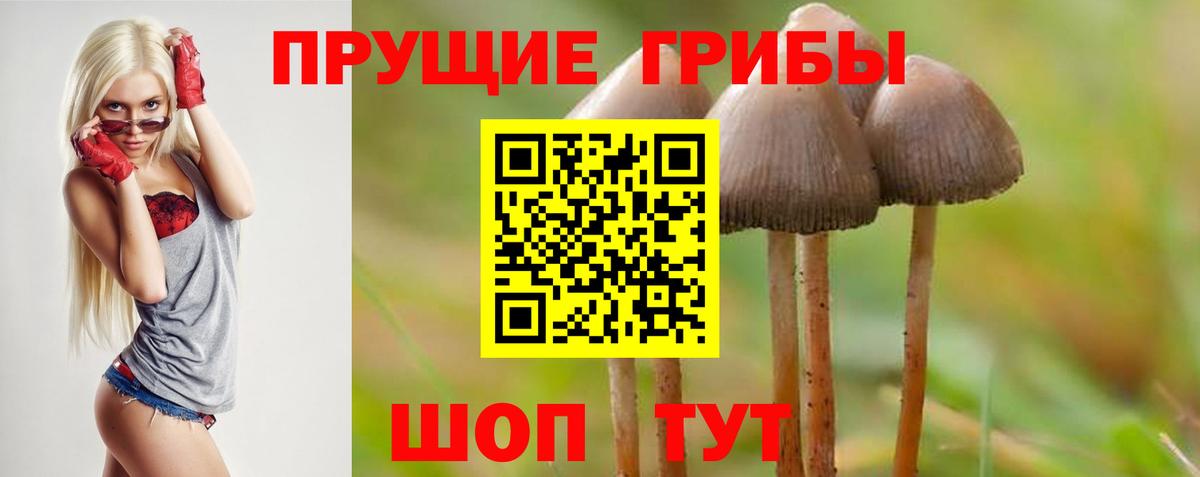 Галлюциногенные грибы MAGIC MUSHROOMS  Вход с VPN  Магнитогорск 